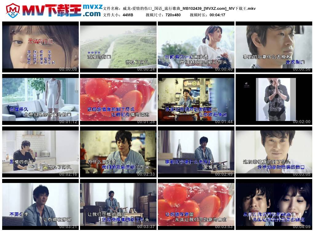 威龙-爱情的伤口_国语_流行歌曲_MB102439